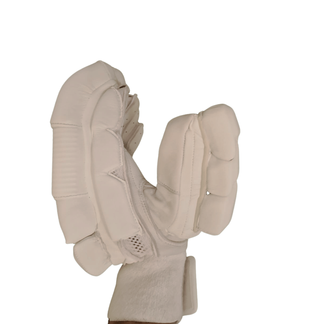 Untitled design (79)