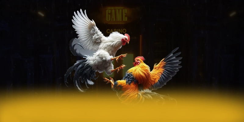 CONGA6789 – Cổng cá cược được tin dùng, được cộng đồng game thủ tin tưởng.