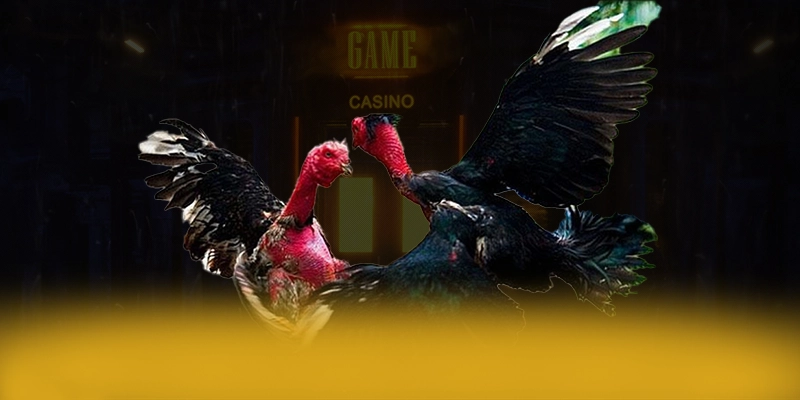 GA6789 - Nhìn lại toàn bộ ưu điểm dưới góc nhìn chuyên môn.