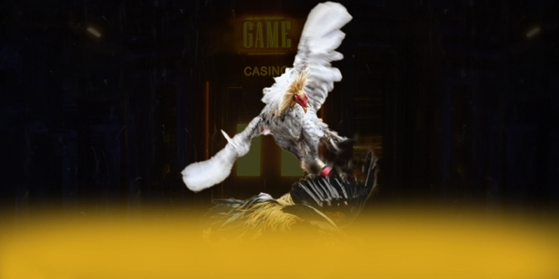 789P - Ứng dụng giải trí đáng tin cậy 2025 – Khám phá hệ thống bảo mật tại 789P