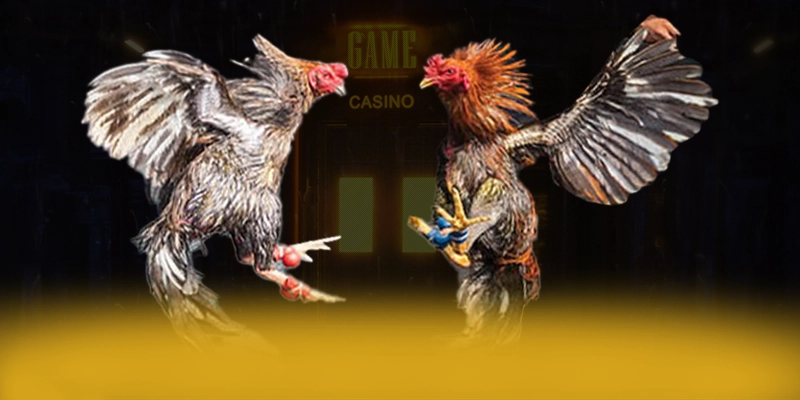 
Điểm nổi bật tại KUWIN - Cổng giải trí có thưởng lớn được cộng đồng đánh giá cao
