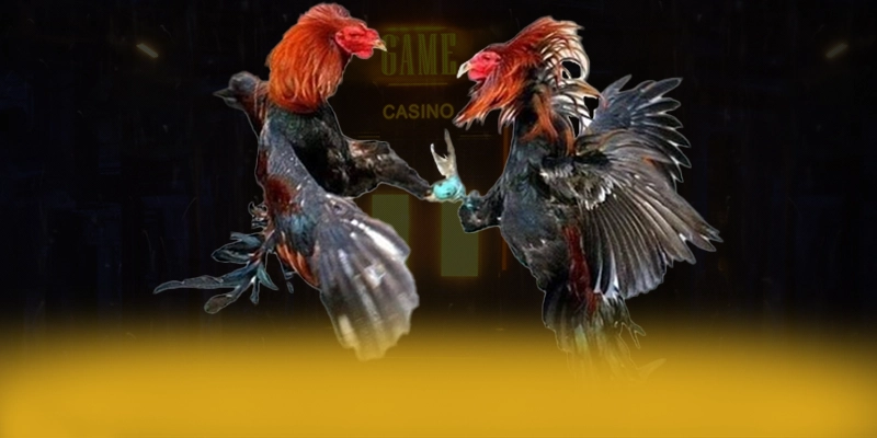 tài xỉu online - Cổng cá cược với hệ thống bảo mật hiện đại được giới chuyên môn đánh giá cao – Cập nhật thông tin về tài xỉu online