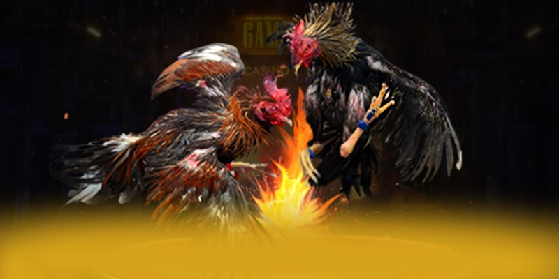 789P - Ứng dụng giải trí được game thủ yêu thích hiện nay – Tìm hiểu thêm về các sản phẩm của 789P