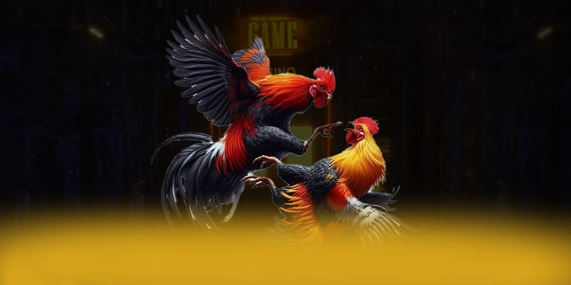 SUNWIN – Sân chơi có thưởng lớn, được người chơi yêu thích.