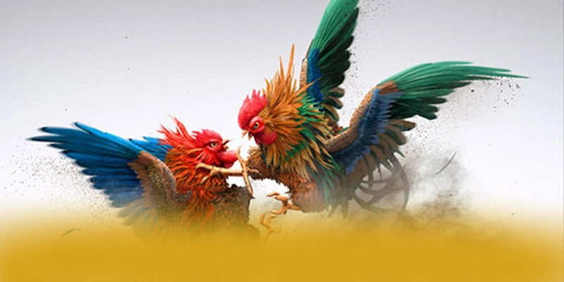 tài xỉu online – Nhà cái uy tín số 1, được cộng đồng game thủ tin tưởng.