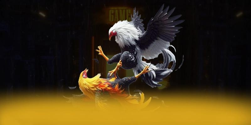 SA88 - Cổng game có độ an toàn vượt trội được cộng đồng game thủ công nhận – Khám phá cơ chế bảo mật hiện đại tại SA88