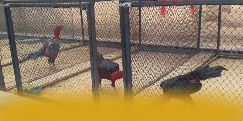 GEM88 - Cổng giải trí ưu đãi khủng 2025 – Săn quà và khuyến mãi hot từ GEM88