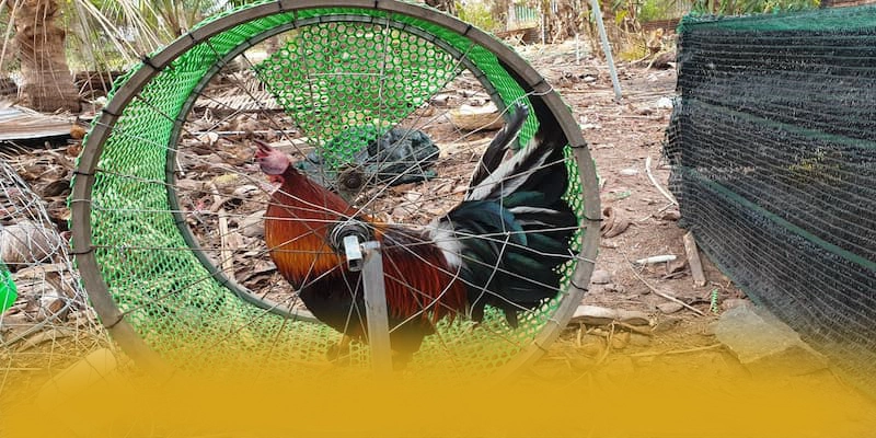 SUNWIN - Kết luận và đánh giá chung với đầy đủ ưu điểm nổi bật.