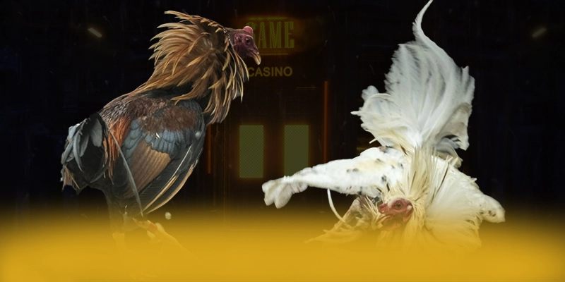 Kèo Worldcup - Nền tảng thể thao phủ sóng toàn bộ các giải đấu quốc tế lẫn trong nước