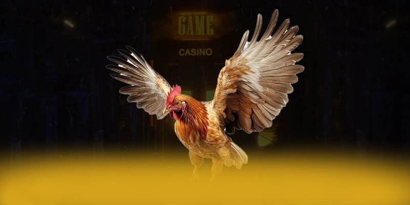 8XBET - Ứng dụng và giao diện mobile tiện lợi 8XBET - Ứng dụng và giao diện mobile tiện lợi