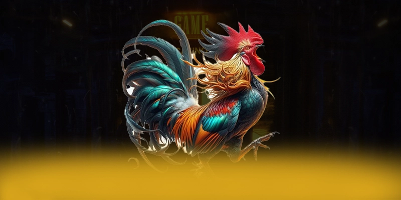da88 - Nền tảng cá cược được cấp phép an toàn nhất