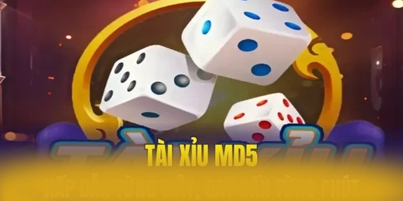 8XBET - Đội ngũ hỗ trợ khách hàng tận tâm