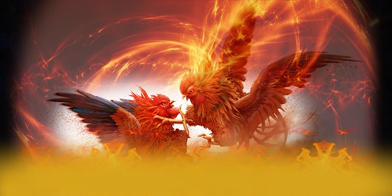 Đánh giá toàn diện vabet - Nhà cái đẳng cấp tại Việt Nam Đánh giá toàn diện vabet - Nhà cái đẳng cấp tại Việt Nam
